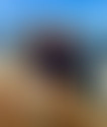 Europe 2024 - Goethenburg Day 5 (cont'd)