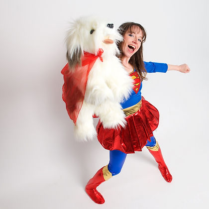 Super Hero Party / Super Fun Parties