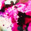 Thumbnail: Another Dimension No.5,  Giclee Print