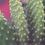 Thumbnail: Circularity
