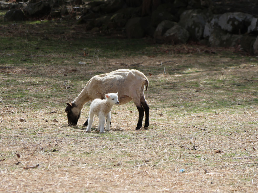 A visit to the peaceful surroundings of a National Historic Landmark