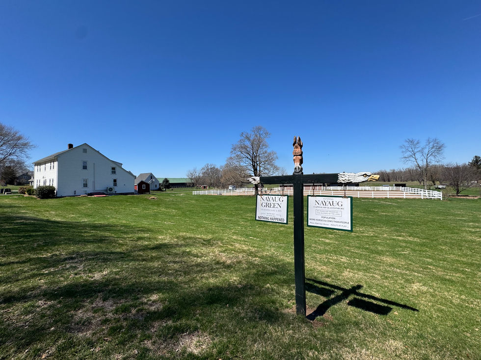 Farm tourism becoming an attractive option for farmers