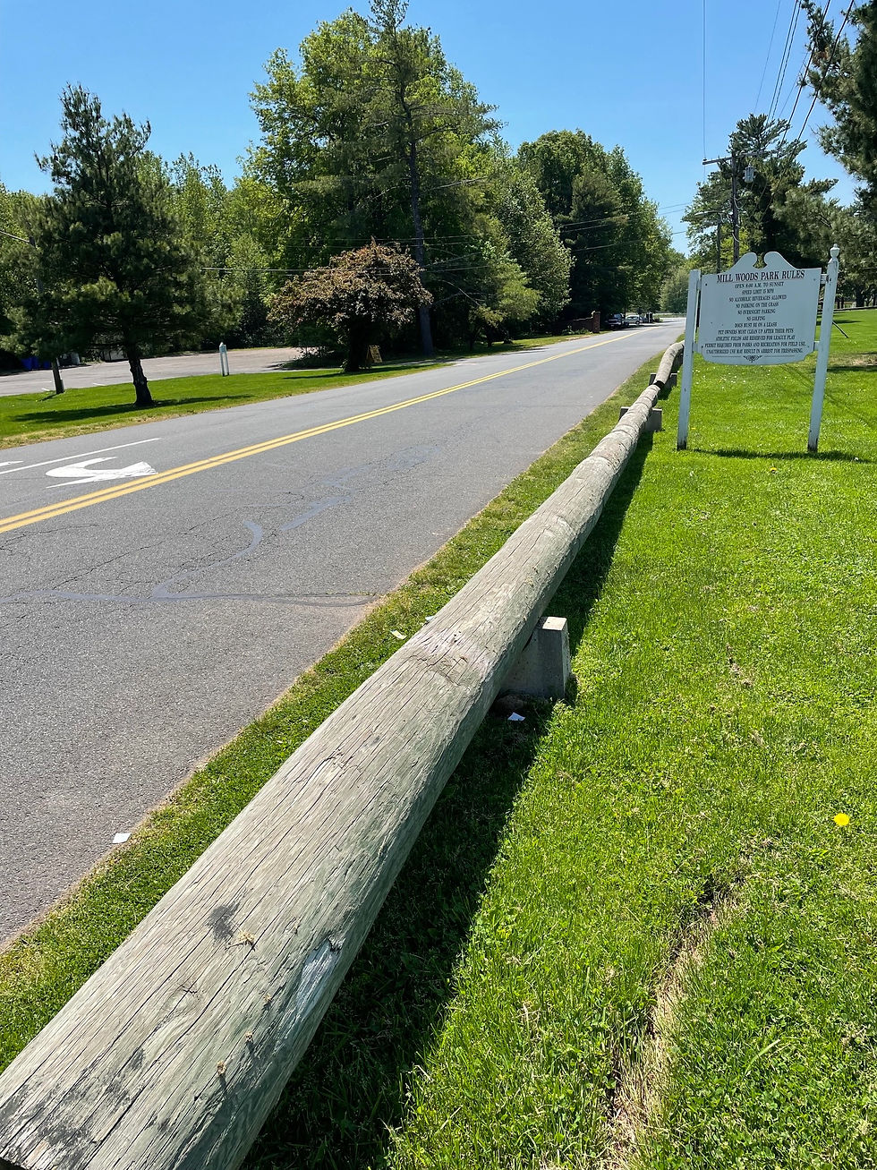 The entrance to the park would be redesigned as a boulevard.