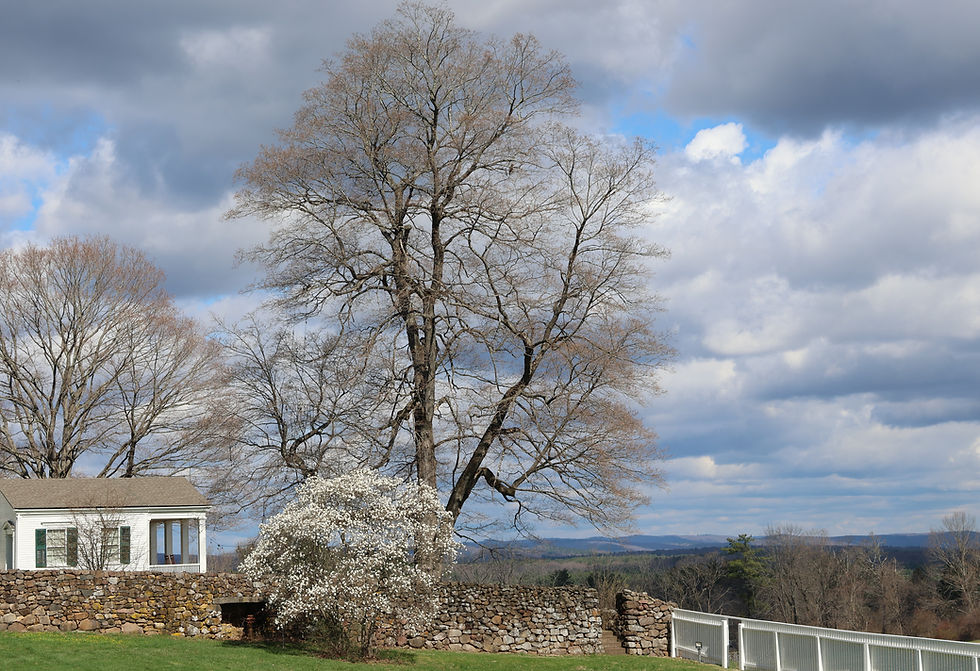 The view from the Hill-Stead Museum grounds. (Marteka)