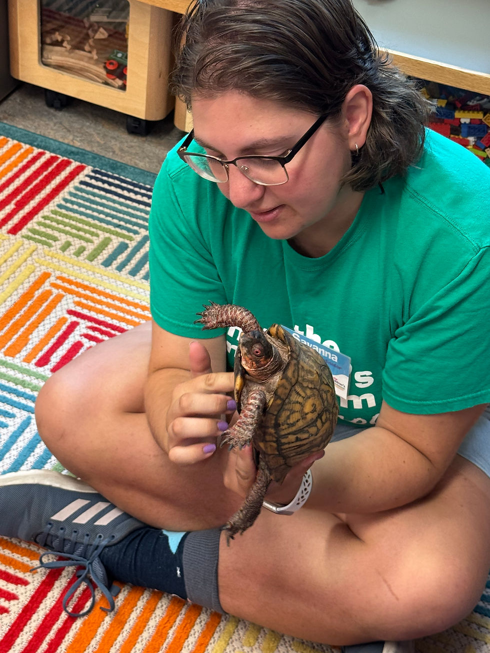Live animals are brought out at the end of the programs. Here, Savanna Arcuri shows off Bobby the Turtle.