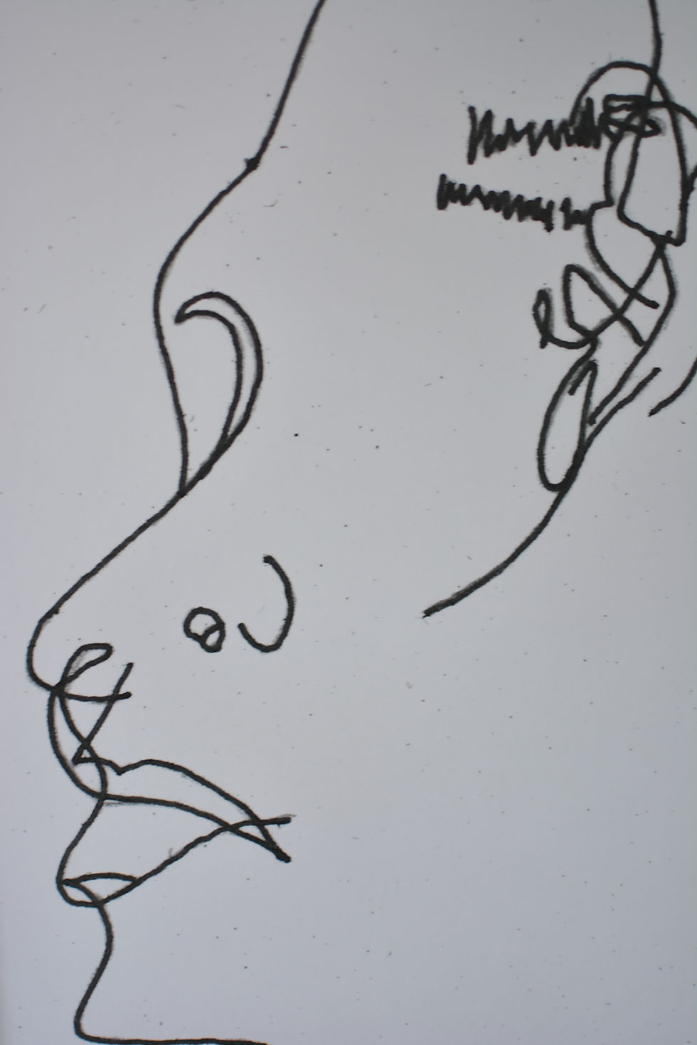 Thumbnail: Blinde contourtekening