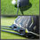Thumbnail: PING Golf Clubs G430 Max 10K No.1 Wood Stable Drivers Golf Carbon Club 9/10.5 De
