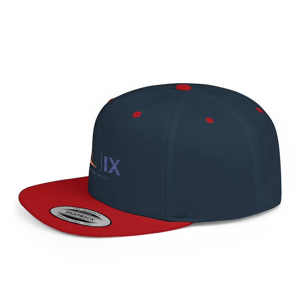Thumbnail: Ni=ne Snapback Hat — Minimal 'IX' Mountain Logo Flat Bill Cap