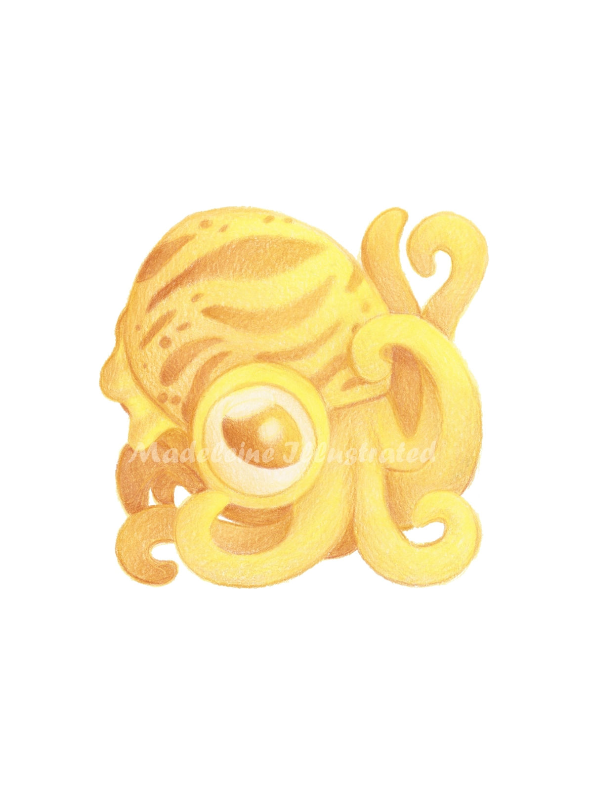 Oswalt the Cuttlefish