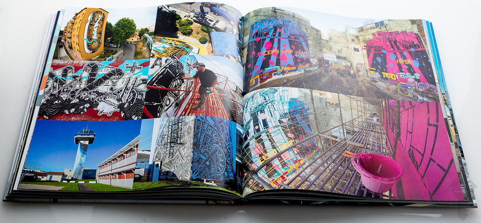 Thumbnail: Trespass: A History Of Uncommissioned Urban Art