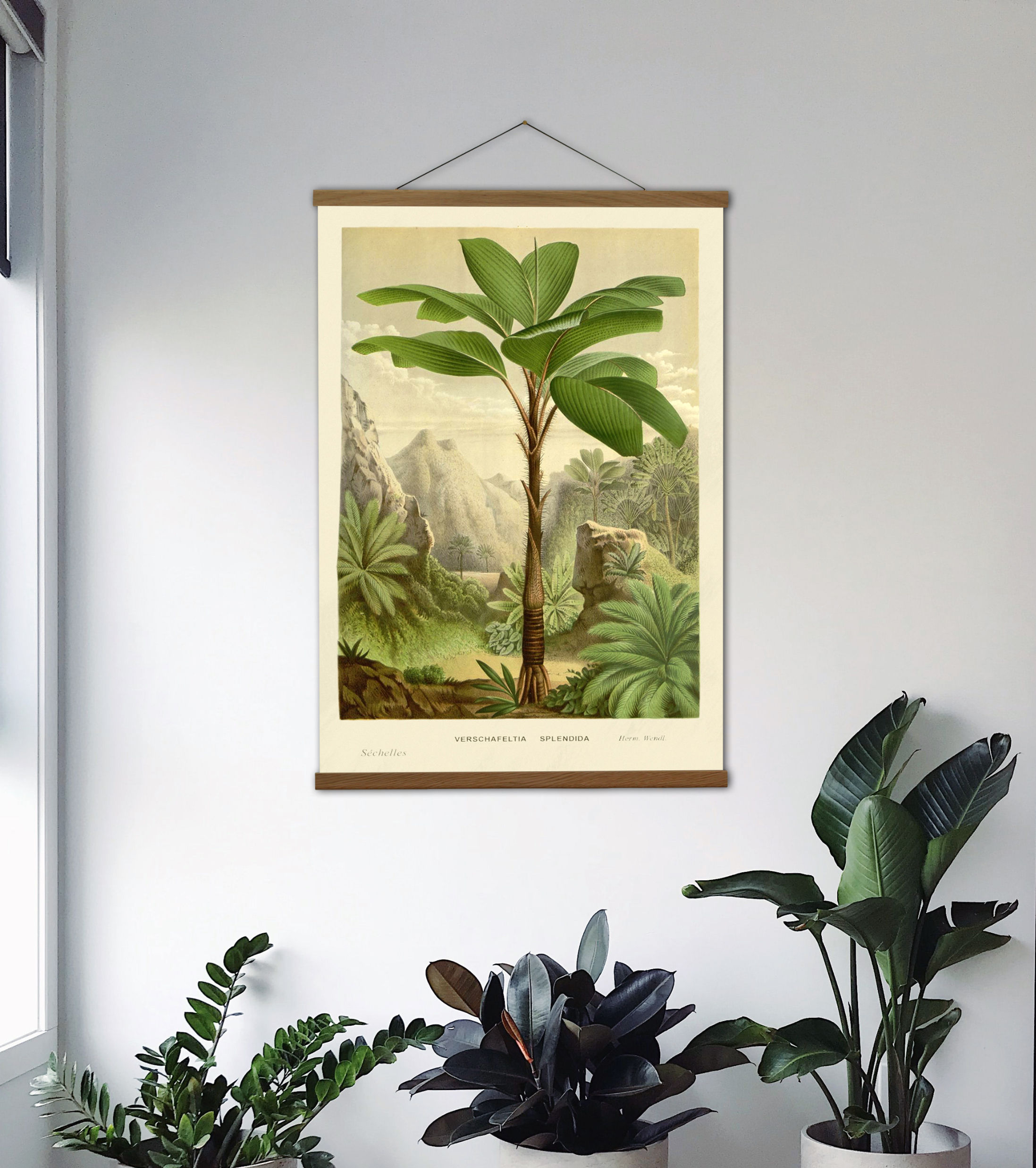 Tropical Palm Canvas Hanging and Wooden Hanger Art Frame, Botanical Wall Art