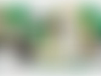 【2/15〜】東京メトロ半蔵門線:広告掲載のお知らせ