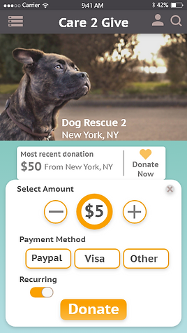 Donation Page – 2.png