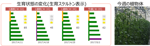 Week 35 2017.04.24-2017.04.30