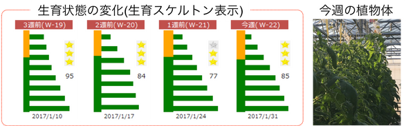 Week 22 2017.01.23-2017.01.29