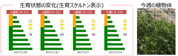 Week 24 2017.02.06-2017.02.12