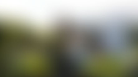 Mastering the Mortgage Approval Process: A Step-by-Step Guide to Get Pre-Approved.