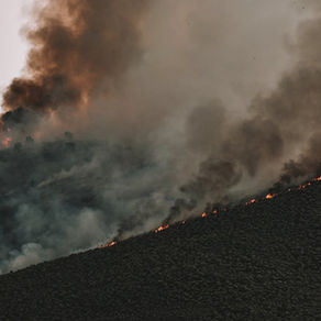 อัปเดตใหม่! เกณฑ์การพิจารณาโอนสัญชาติปี 2026