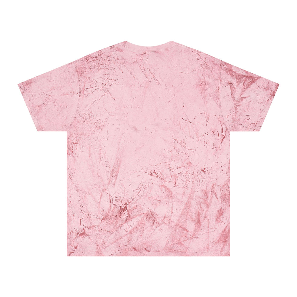 Thumbnail: Book Swap Society Unisex Color Blast T-Shirt