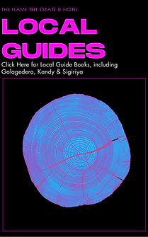 GUIDES TO GALAGEDERA & KANDY.png