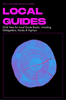 GUIDES TO GALAGEDERA & KANDY.png