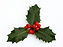 1 holly berries.jpg