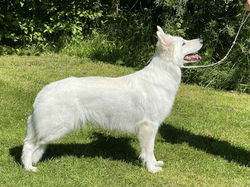 Zita, 2 years