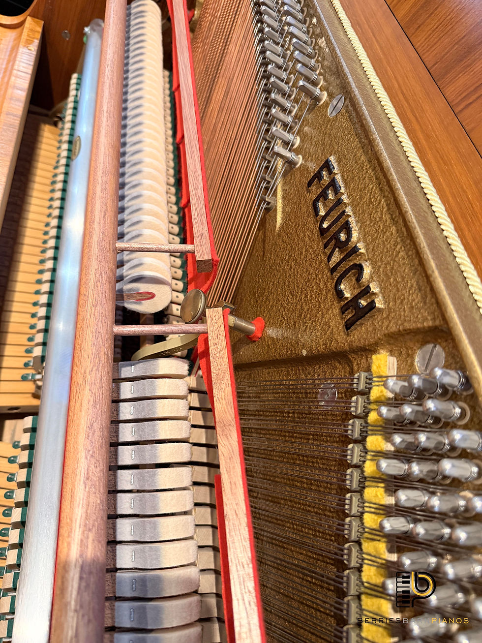 Thumbnail: Feurich 112 F Upright Piano in Teak Satin