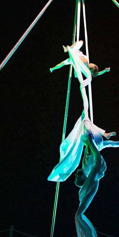 Des danseurs de drapé lors d'une soirée organisée par La Vie en Bleu