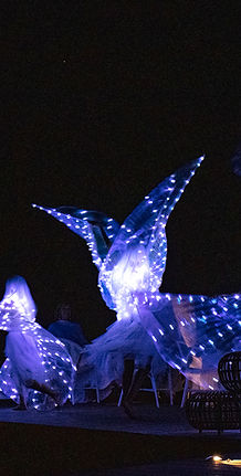 Des danseurs lors d'une soirée organisée par La Vie en Bleu