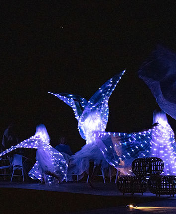 Des danseurs lors d'une soirée organisée par La Vie en Bleu