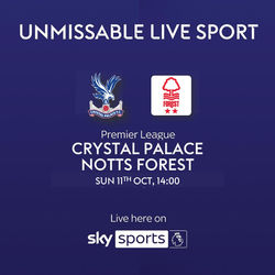 26_10_11 2 crystal palace v notts forest