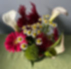 IMG_0135.JPEG