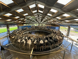 LStankovic Towards sustainable net-zero farming.JPEG