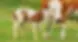 11062b_614ed4ddb3924d4da89bc5b3fa11c70e~mv2.webp