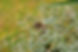 bird-8496059_1280.jpg