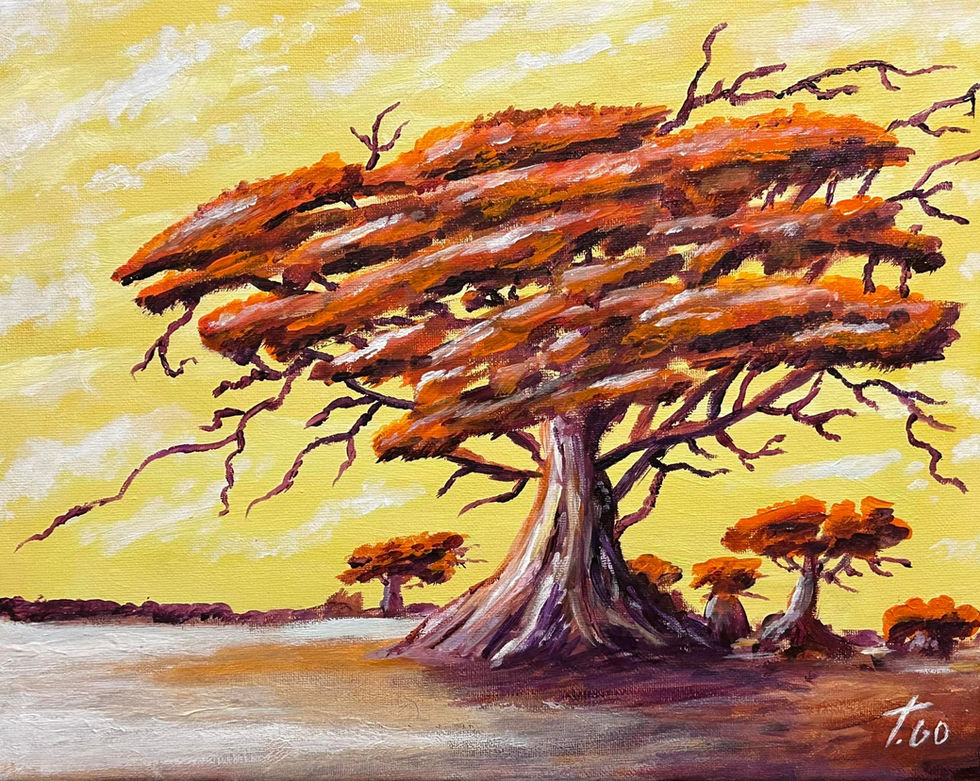 n12 Socrotas 7 (Close View)