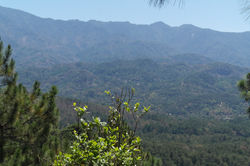 vista desde la Torre