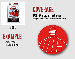 EVERAUS_coverage infographics_2021_V6JG_