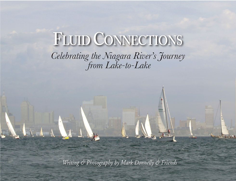 Fluid Connections front cover