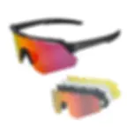Oversized Polarised Cycling Specs