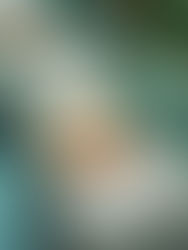 Jak proměnit interiér s minimálními náklady