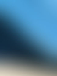 Kariyer Yolumun Başında (2016-1/3)