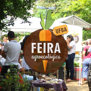 Manejo agroecológico de pragas e doenças
