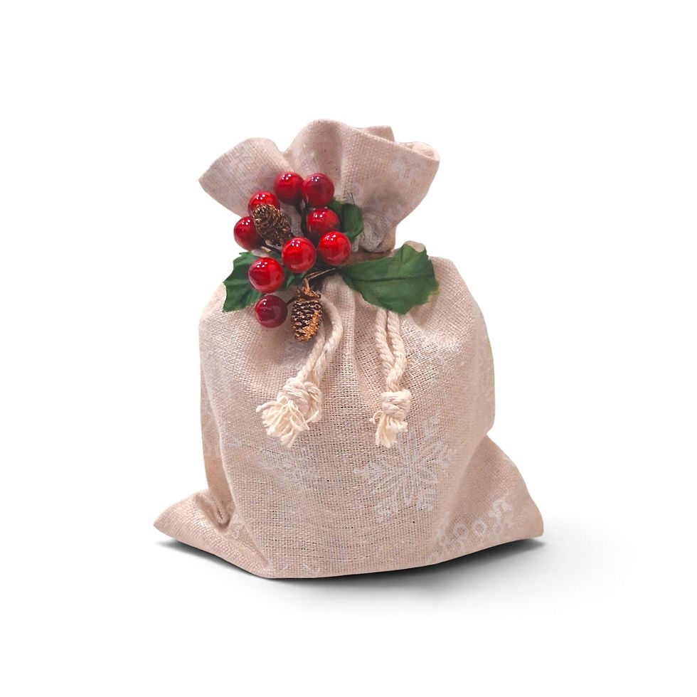 Buy Flamigni Panettone 80g in a Christmas snow stars gift bag with cranberries at IFM Gourmet Dubai. Perfect for festive hamp