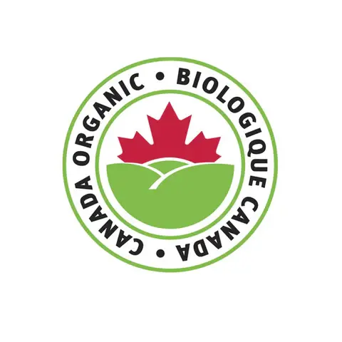 Thumbnail: Maple Syrup Amber Rich Taste Organic Canadian 250ml | Premium Dubai