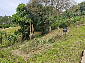 Terreno 1164