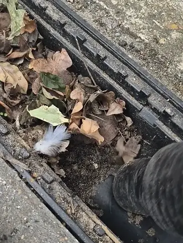 how to clear driveway drains and gully