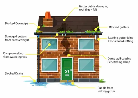 warning signs you need your gutters cleaned or repaired in Hullbridge