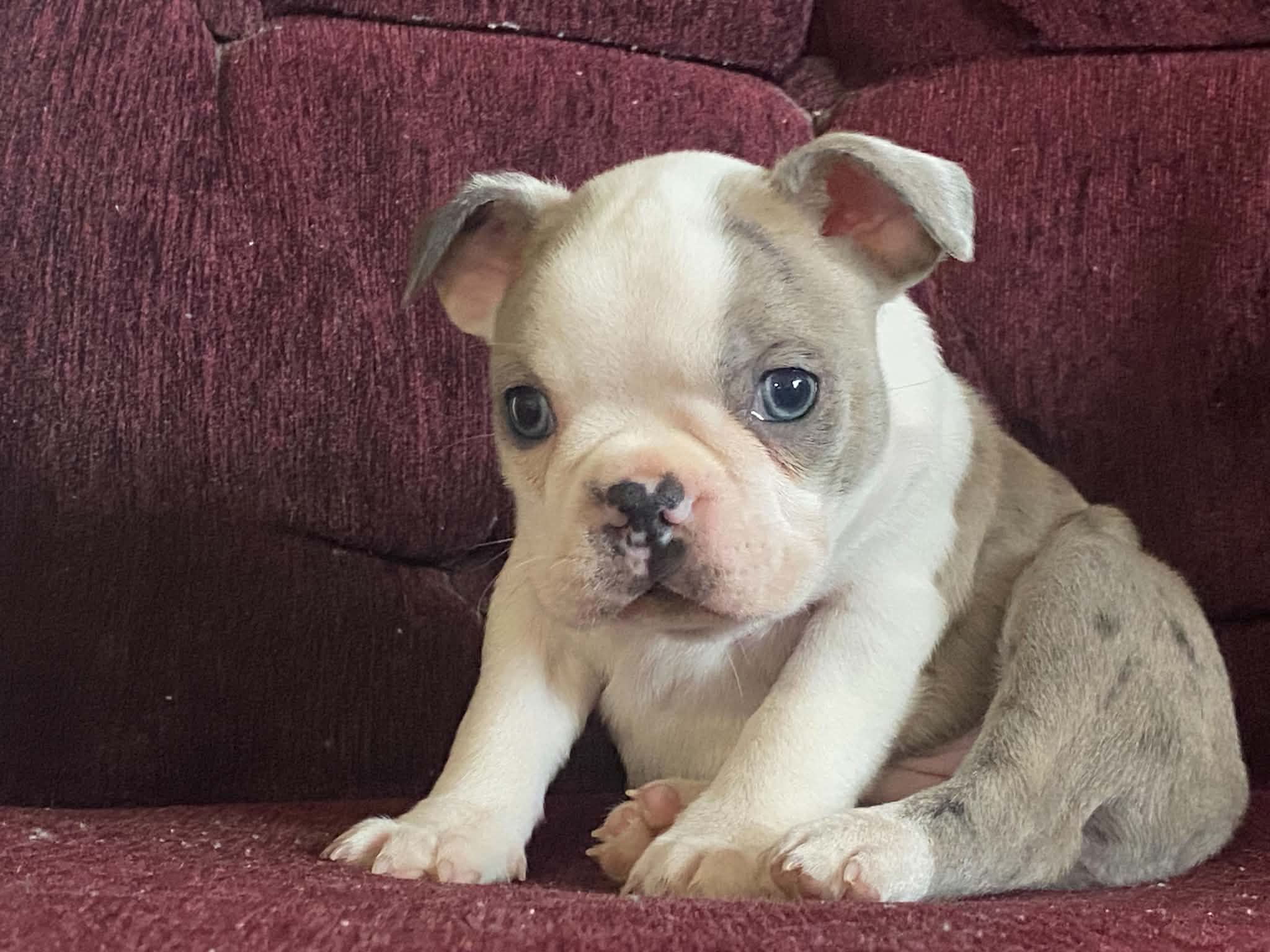 Tucker